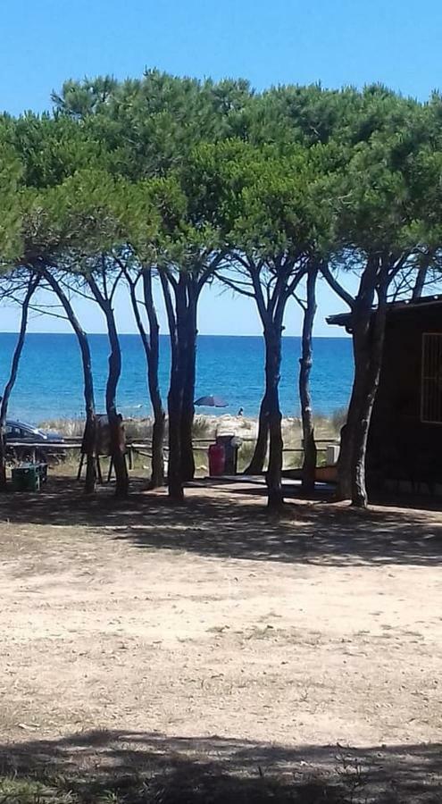 Appartamento Vecchia Pineta San Giovanni  Luaran gambar